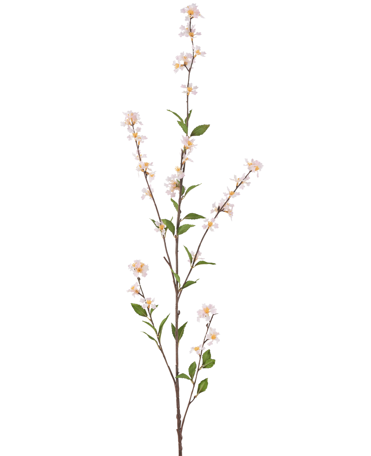 La Fleur Artificielle Flowers 119 cm blush est une branche artificielle haute et élancée avec de délicates fleurs blanches et des feuilles vertes sur toute la longueur, sur un fond blanc uni.