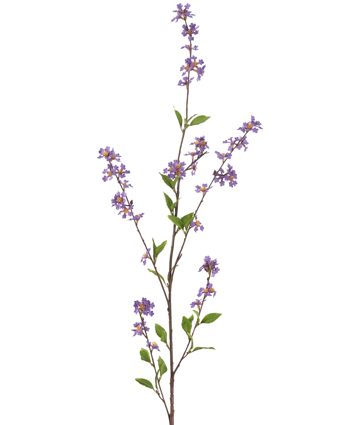 La fleur artificielle Flowers 119 cm violette a une branche haute et élancée avec des bouquets de petites fleurs violettes et des feuilles vertes, parfaites pour égayer n'importe quelle pièce.
