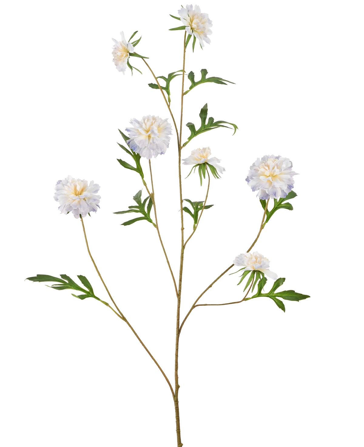 Une grande tige artificielle appelée Fleur de Bleuet Artificielle de 112 cm bleu clair avec de multiples branches, chacune avec des bleuets bleu clair et des feuilles vertes, sur un fond blanc uni.
