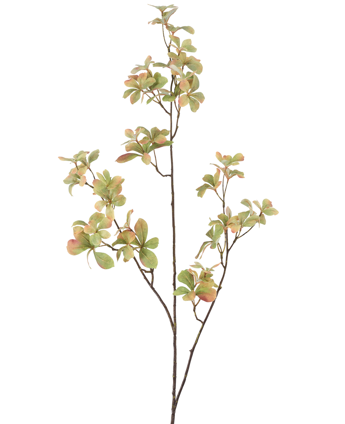 La Branche de fleur artificielle 112 cm verte possède une tige fine et ramifiée avec des grappes de feuilles vertes rose clair et crème sur un fond uni blanc.