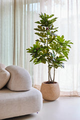 Un figuier artificiel Ficus Carica de 150 cm se dresse à côté d'un canapé beige moderne, avec des rideaux translucides et une douce lumière naturelle en arrière-plan.