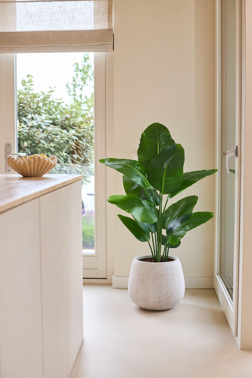Une plante artificielle Strelitzia Real Touch Deluxe de 120 cm d'un vert luxuriant se dresse sur un sol clair à côté d'une porte vitrée dans une pièce lumineuse et moderne avec des murs neutres et un comptoir en bois.