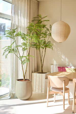 Une salle à manger lumineuse et moderne avec une plante verte en pot de la plante artificielle Mahonia (180 cm), une table et des chaises en bois clair, des rideaux beiges, une suspension en forme de lanterne en papier et la lumière naturelle du soleil entrant à travers les hautes fenêtres.