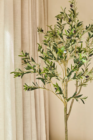 L'olivier artificiel de 180 cm, avec des feuilles vertes luxuriantes et des olives noires réalistes, se dresse devant des rideaux beiges et un mur de couleur neutre. La lumière du soleil illumine doucement la scène, donnant à l'espace une touche de style méditerranéen.