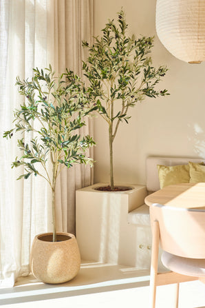 Deux oliviers en pot, dont l'élégant Olivier artificiel de 150 cm, se dressent près d'une fenêtre aux rideaux translucides. La lumière du soleil pénètre à flots et éclaire une pièce moderne dotée d'une table ronde, d'une chaise en bois clair et de coussins vert tendre.