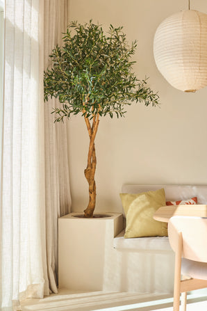 Un olivier artificiel de 190 cm aux branches fines se trouve à côté d'un canapé rembourré blanc décoré de coussins pastel, près de rideaux transparents et d'une lanterne ronde en papier dans une pièce lumineuse et moderne - une plante nécessitant peu d'entretien qui fournit une verdure durable sans nécessiter beaucoup d'entretien.