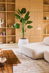 Un salon moderne avec un canapé beige clair, une plante Strelitzia artificielle de 210 cm à l'aspect réaliste qui apporte un accent vert vibrant, une grande table basse en verre marron et des étagères intégrées en bois décorées d'objets décoratifs et de céramiques. Cette plante artificielle Strelitzia facile d'entretien apporte une beauté naturelle à la pièce sans avoir besoin d'entretien.
