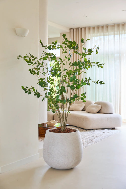 Le ficus artificiel de 180 cm, avec ses feuilles vertes luxuriantes, se dresse fièrement sur un sol clair dans un salon moderne et lumineux avec un canapé blanc, un tapis moelleux et des rideaux translucides laissant passer la lumière naturelle.