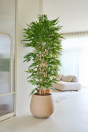 La Plante Artificielle Bambou 210 cm se situe dans un salon lumineux et moderne avec un canapé beige, des voilages blancs et une décoration minimaliste.