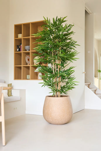 La Plante Artificielle Bambou 180 cm, avec sa grande stature et ses feuilles vertes élancées, trône dans une pièce moderne et minimaliste aux murs clairs, aux étagères ouvertes et à la décoration neutre.