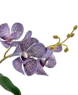 Un gros plan de l'orchidée violette artificielle Ascocenda de 50 cm montre des pétales violets avec des taches blanches, de multiples fleurs et des bourgeons verts sur une tige mince sur un fond blanc.