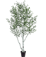 Le Bouleau Artificiel 300 cm est un bouleau artificiel en pot au tronc et aux branches blancs, décoré de petites feuilles vertes, sur un fond uni blanc.