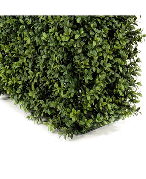 Haie de buis artificielle UV 100x20x50 cm Le panneau de haie avec de petites feuilles vertes brillantes est représenté sur un fond blanc.
