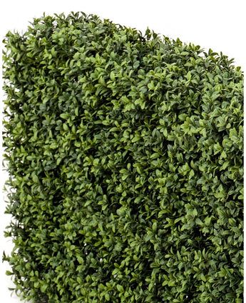Un gros plan de panneaux de haie de buis artificiel UV 100x20x50 cm, avec de petites feuilles vertes densément emballées sur un fond blanc.