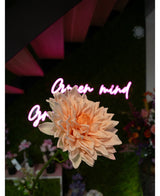 Un dahlia rose clair de 70 cm de Kunst Georgine Real Touch au point, avec un panneau néon flou « Esprit ouvert » et des fleurs colorées en arrière-plan.