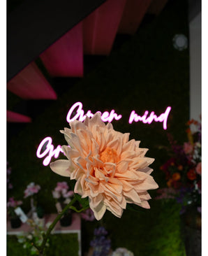 Un dahlia rose clair de 70 cm de Kunst Georgine Real Touch au point, avec un panneau néon flou « Esprit ouvert » et des fleurs colorées en arrière-plan.