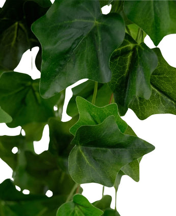 Gros plan de Lierre Artificiel 105 cm vert : feuilles de lierre artificiel vert luxuriant avec des nervures visibles et une texture légèrement brillante, se chevauchant sur un fond blanc.