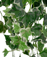 Gros plan de Lierre Artificiel 130 cm vert/blanc, avec des feuilles de lierre artificiel aux formes détaillées, aux motifs veinés et aux tons verts variés avec des bords blancs sur fond blanc.