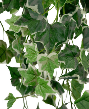 Gros plan de Lierre Artificiel 130 cm vert/blanc, avec des feuilles de lierre artificiel aux formes détaillées, aux motifs veinés et aux tons verts variés avec des bords blancs sur fond blanc.