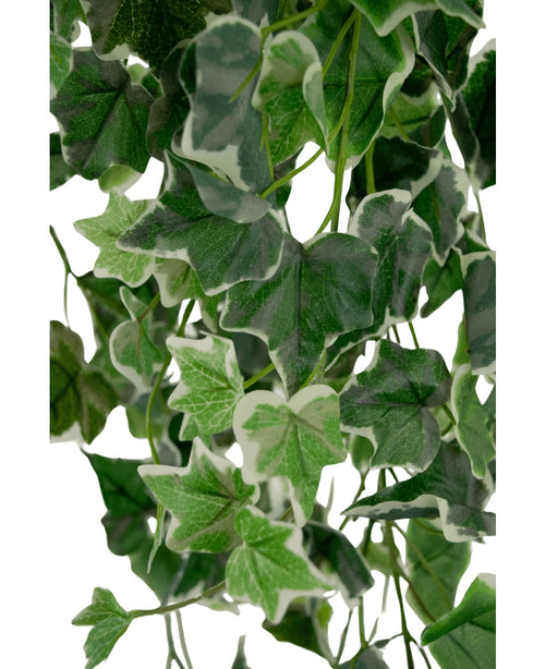 Gros plan d'un lierre artificiel de 70 cm vert/blanc avec des feuilles vertes et des bords bordés de blanc, mettant l'accent sur un feuillage artificiel dense et des motifs de feuilles d'aspect naturel sur un fond clair.