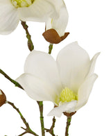 Gros plan de l'Art Magnolia Real Touch White 72 cm : un magnolia blanc en fleurs avec des pétales doux, un cœur jaune, des tiges vertes et des bourgeons non ouverts sur les branches, sur un fond blanc.