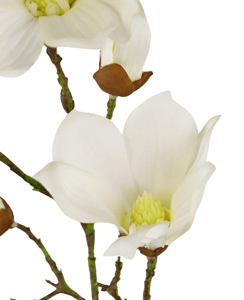 Gros plan de l'Art Magnolia Real Touch White 72 cm : un magnolia blanc en fleurs avec des pétales doux, un cœur jaune, des tiges vertes et des bourgeons non ouverts sur les branches, sur un fond blanc.
