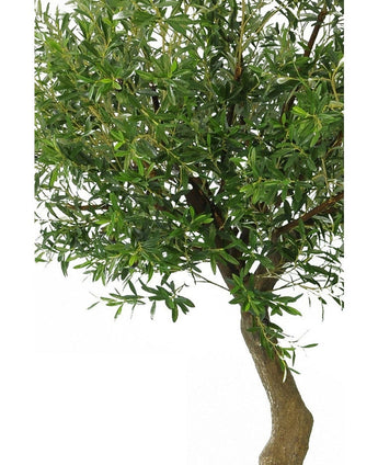 Gros plan de l'Olivier Artificiel 270 cm sans olives, avec un tronc brun élancé et des feuilles vertes denses dans des pots décoratifs sur un fond blanc uni.