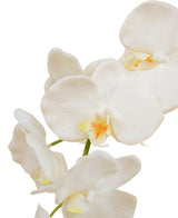Un gros plan de l'orchidée artificielle 50 cm blanche dans un pot montre plusieurs fleurs d'orchidées blanches avec un centre jaune clair et orange sur un fond blanc.
