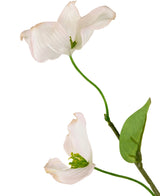 Un gros plan du cornouiller artificiel Real Touch Blanc/rose 74 cm montre deux délicates fleurs de cornouiller rose clair et blanc avec un centre vert sur une tige fine et une seule feuille, sur un fond blanc.