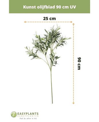 Feuille d'olivier artificielle 90 cm UV de EasyPlants, 90 cm de hauteur et 25 cm de largeur. Cette feuille artificielle résistante aux UV apportera une atmosphère méditerranéenne durable à votre espace grâce à ses feuilles vertes vibrantes.