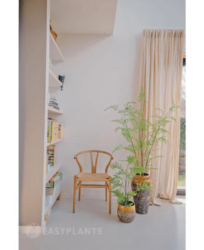 Une pièce minimaliste avec une chaise en bois à côté de la fougère artificielle 85 cm et deux plantes d'intérieur en pot, une haute fenêtre avec des rideaux beiges et une étagère blanche avec des livres et de la décoration. Une douce lumière naturelle remplit la pièce.