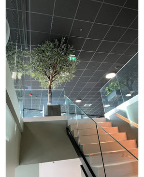 Un escalier intérieur moderne avec balustrade en verre mène à un palier comportant l'olivier artificiel avec des olives (270 cm) dans un grand pot, placé sous un plafond à motif grillagé, un éclairage encastré et un panneau de sortie de secours vert visible.