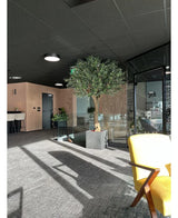 Un espace bureau moderne avec un tapis gris, une chaise jaune, un olivier artificiel avec des olives (270 cm) près des parois vitrées qui projettent des ombres au soleil et, en arrière-plan, un comptoir avec des tabourets de bar.