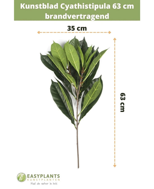 Feuille artificielle de Cyathistipula 63 cm ignifuge, feuille verte, 35 cm de large. Ignifuge selon la description du produit. Logo et marque EasyPlants visibles en bas.