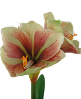 Un gros plan de la fleur artificielle Amaryllis Real Touch Rouge/Jaune 48 cm montre les pétales rouges et jaunes vibrants, la texture réaliste et les feuilles vertes sur un fond blanc.