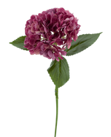 La Fleur Artificielle Hortensia Charlotte Real Touch violet 55 cm possède une seule tige d'hortensia violet avec plusieurs petits pétales et feuilles vertes, sur un fond uni blanc.