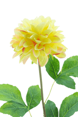 La Fleur Artificielle Dahlia Real Touch Champagne 73 cm présente un dahlia réaliste de couleur champagne sur une longue tige verte avec de grandes feuilles, sur un fond blanc uni.
