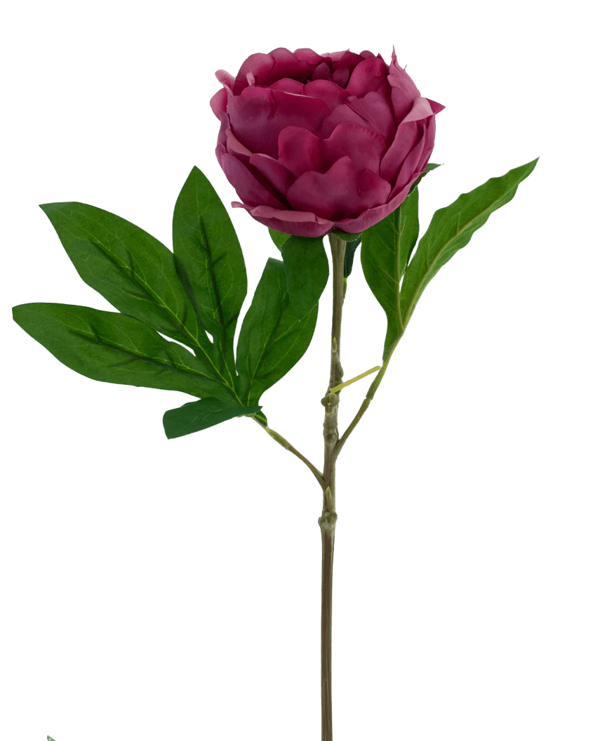 La Fleur Artificielle Lotus Pivoine Real Touch en rouge est une grande fleur artificielle de 58 cm avec des pétales superposés et des feuilles vertes sur une longue tige, isolée sur un fond blanc.