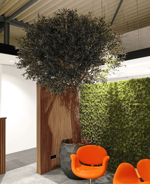 L'arbre artificiel Olivier 300 cm est situé à l'intérieur à côté d'un panneau en bois et d'un mur de mousse verte, avec deux chaises modernes orange devant lui sous un plafond industriel.