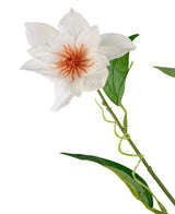 La Clématite Artificielle Real Touch Blanc 88cm possède une seule fleur blanche avec des étamines orange et des feuilles vertes sur une tige fine, isolée sur un fond blanc.
