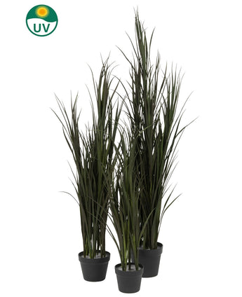 Le Gazon Artificiel Bordeaux UV 120 cm est composé de quatre plants de gazon artificiel en pot résistants aux UV, de différentes hauteurs, dans des pots noirs, chacun marqué d'un logo UV vert, sur un fond blanc uni.