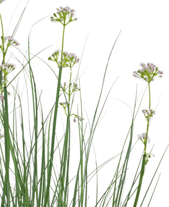 Le pot de gazon artificiel, poireaux, fleurs, oignons, 90 cm, ignifuge, présente un gazon artificiel vert haut et mince et de délicates fleurs blanches sur un fond blanc uni.