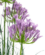 Le gazon artificiel violet agapanthe oignon herbe pot 90 cm ignifuge a un bouquet de fleurs d'agapanthe artificielles violettes avec de fines tiges vertes et de fines feuilles sur un fond blanc.