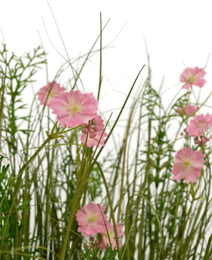 Le pot d'herbe d'oignon de fleur de Gesang rose de gazon artificiel 90 cm ignifuge a des fleurs roses avec un cœur vert clair qui fleurissent parmi des herbes hautes et fines et des plantes à feuillage luxuriant, le tout sur un fond blanc.