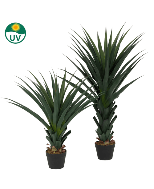 La plante artificielle Agava Pandora UV 85 cm contient deux plantes d'agave artificielles aux feuilles épineuses vert foncé dans un pot noir. Dans le coin supérieur gauche se trouve une icône de protection UV sur fond blanc.