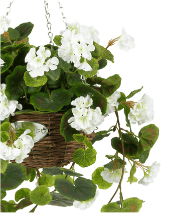 Le Bégonia Artificiel Blanc en Panier UV 70 cm a des feuilles vertes luxuriantes et des fleurs blanches dans un panier tressé suspendu, suspendu à une chaîne en métal sur un fond blanc.