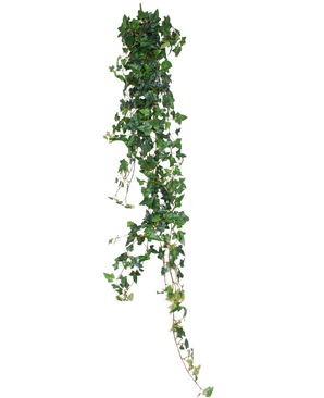 La plante artificielle suspendue Ivy Boston 180 cm verte possède de longues feuilles pendantes en forme de cœur vertes qui se détachent magnifiquement sur un fond blanc.