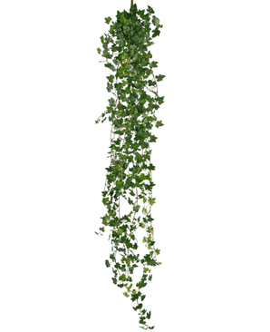 La plante suspendue artificielle Lierre deluxe 180 cm vert possède un long brin de lierre vert avec de nombreuses petites feuilles pointues qui tombent, parfaites comme décoration sur un fond blanc.