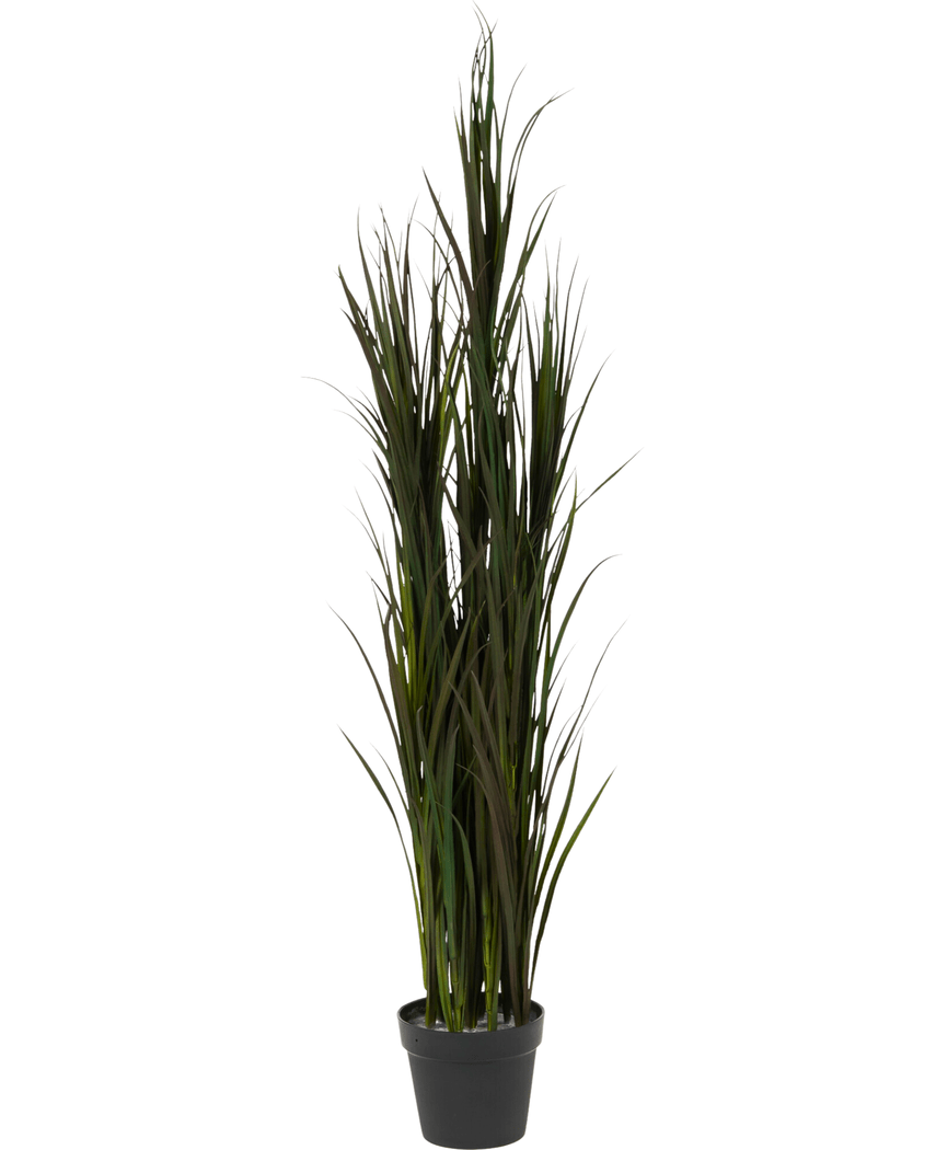 Le gazon artificiel Bordeaux UV 150 cm est composé d'un gazon artificiel haut avec de longues feuilles vertes fines, disposées dans un petit pot noir, représenté sur un fond blanc.