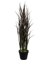 Le gazon artificiel Bordeaux UV 90 cm est une plante artificielle haute avec des feuilles longues et étroites vert foncé et marron qui se dressent verticalement dans un pot noir, sur un fond blanc uni.
